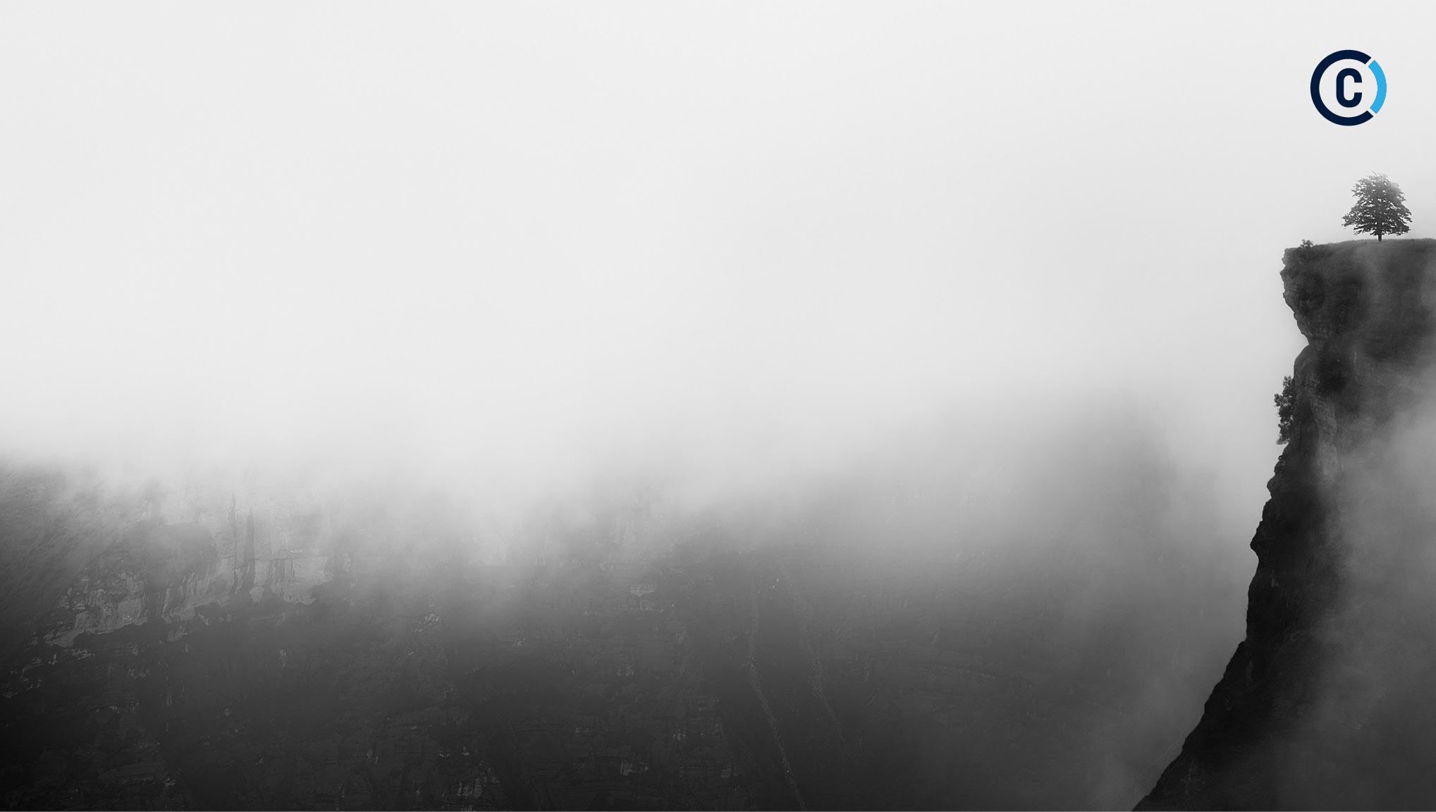 Klippe von der Seite mit einem Baum im Nebel und Commertunity-Logo